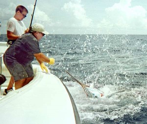 Captain Ken Harris wires a marlin, caught by his son Clay Friday, that proved to be the winning fish at the 2001 Drambuie Key West Marlin Tournament. The fish was released and Harris' boat won $20,000 for first place in the marlin division. Photo by Bob Niemi.