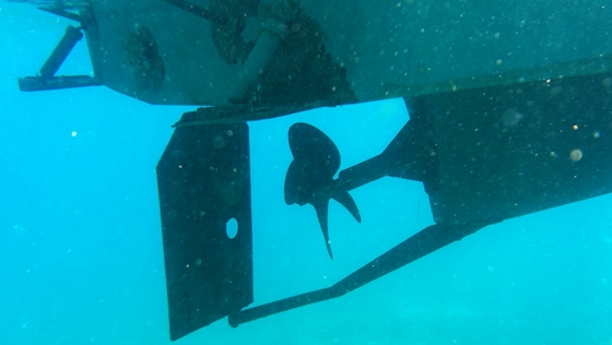 lifeproof-underwater