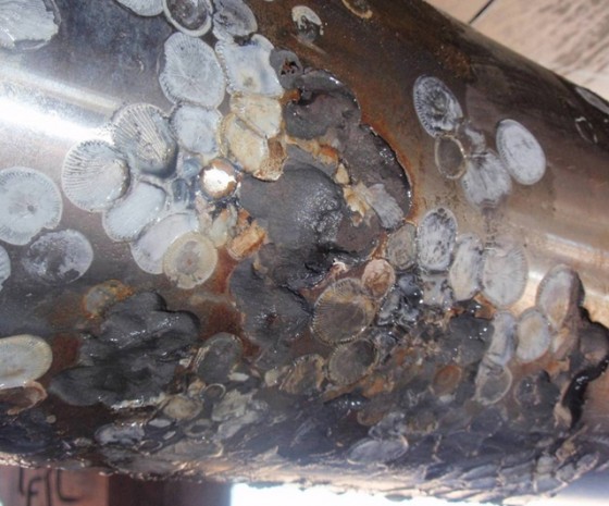 prop shaft crevice corrosion