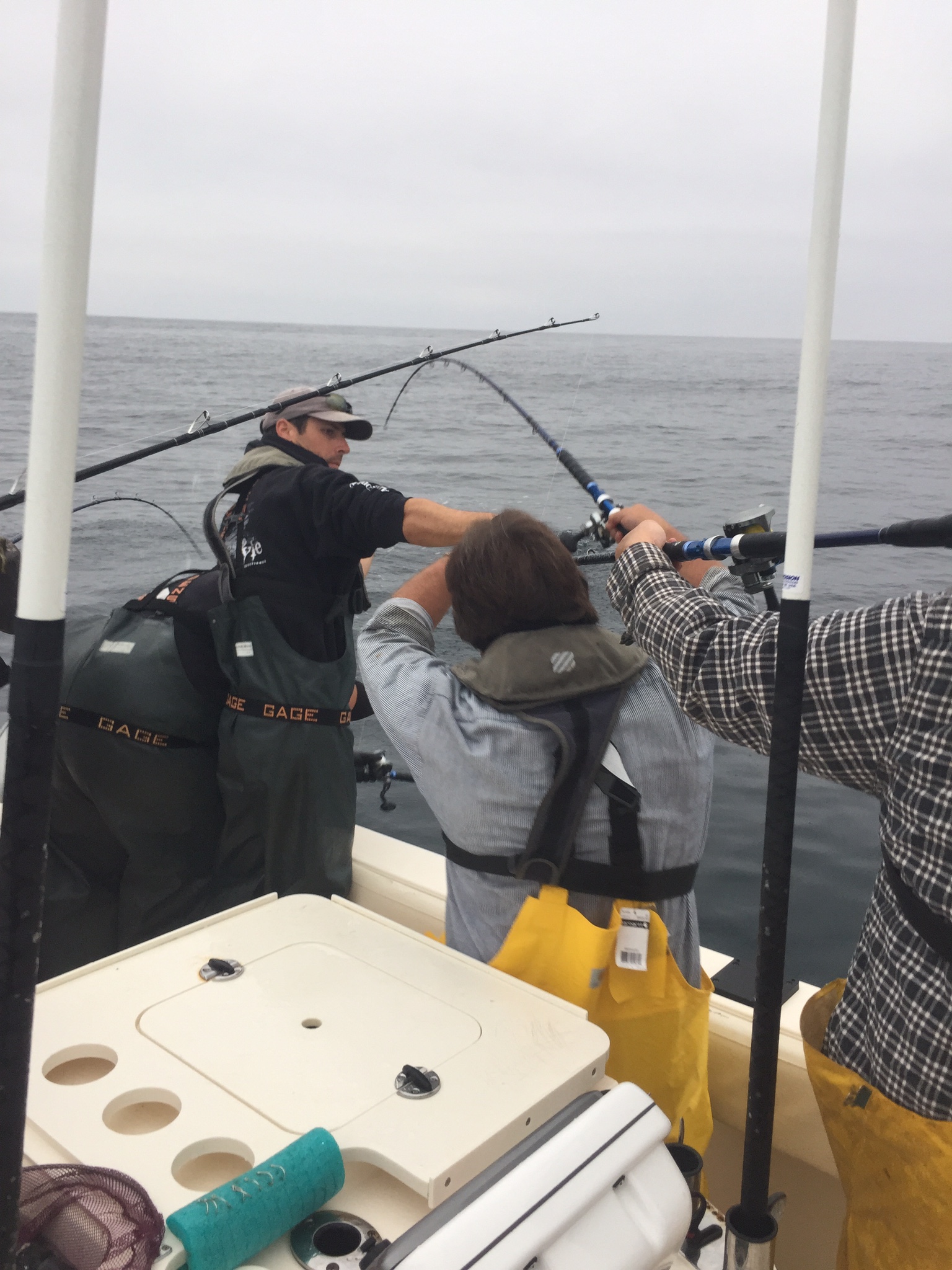 Tuna Fishing in the Pacific Northwest 