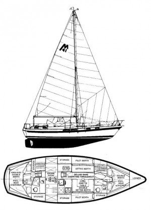 The Morgan 41.