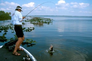 Hot for Bass?