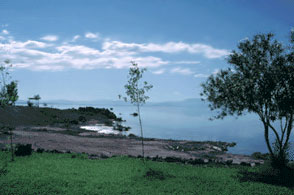 Formed by accident, the Salton Sea is one of the world's largest inland seas. (Photo courtesy Christopher B. Cook)