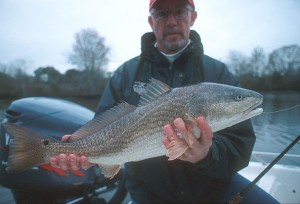 Georgia redfish biologist Spud Woodward and a Louisiana native red. 