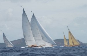 img10454