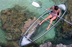Clear Blue Hawaii Molokini Kayak: The Invisible Boat