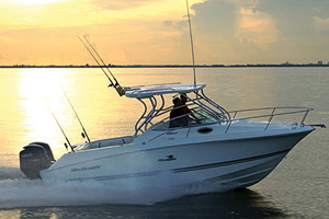 Wellcraft's 252 Coastal starts with a standard walk-around sportfisher design and adds just a hint of cuddy cruiser to the mix.