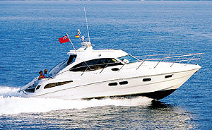 The C39 Coupe' is a very attractive sport cruiser, richly endowed with European styling. 