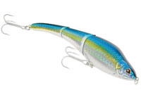 Sebile's Magic Swimmer