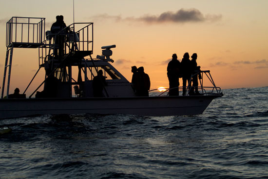 Photo Boat Becomes Billboard