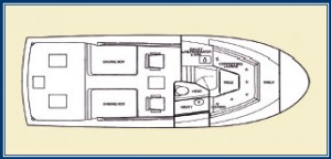 Blackfin 29 combi layout
