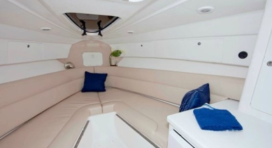 intrepid 327 cuddy cabin