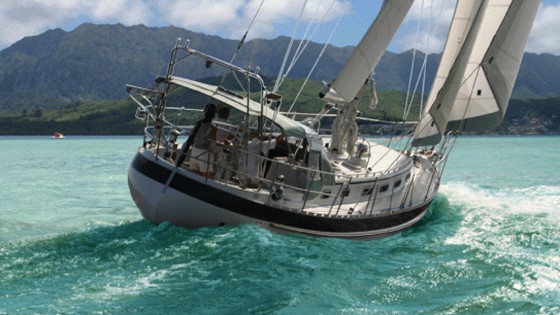 SAIL Amsterdam Festival: The World’s Largest Nautical Event  thumbnail
