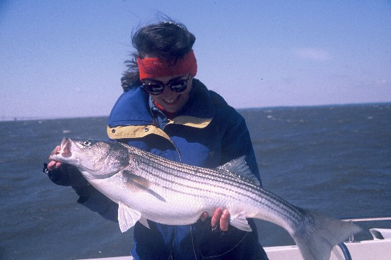 6 Best Bet Fish for Atlantic, Gulf Coast, Great Lakes, and West Coast  Anglers 