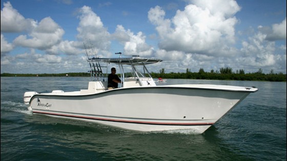 ameracat 31 center console