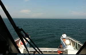 view from fast ferry bow