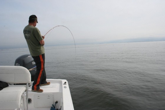 fly fishing on a bay boat