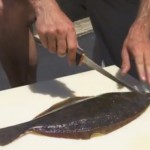how to fillet a flounder