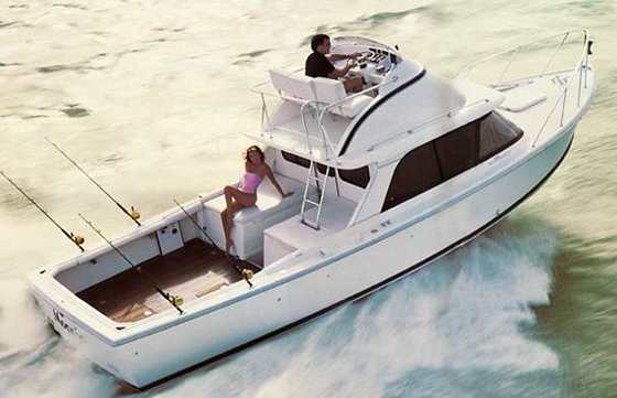 Bertram 31 brochure photo