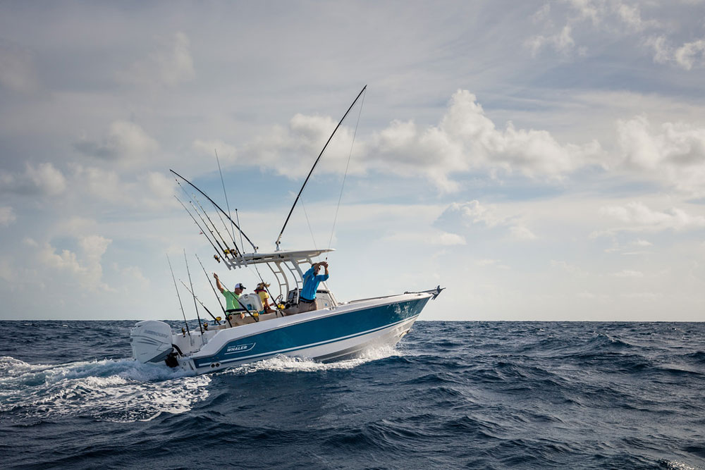 23’ isn’t a lot of LOA for an offshore fishing machine, but the Outrage 230 is unquestionably up to the task.