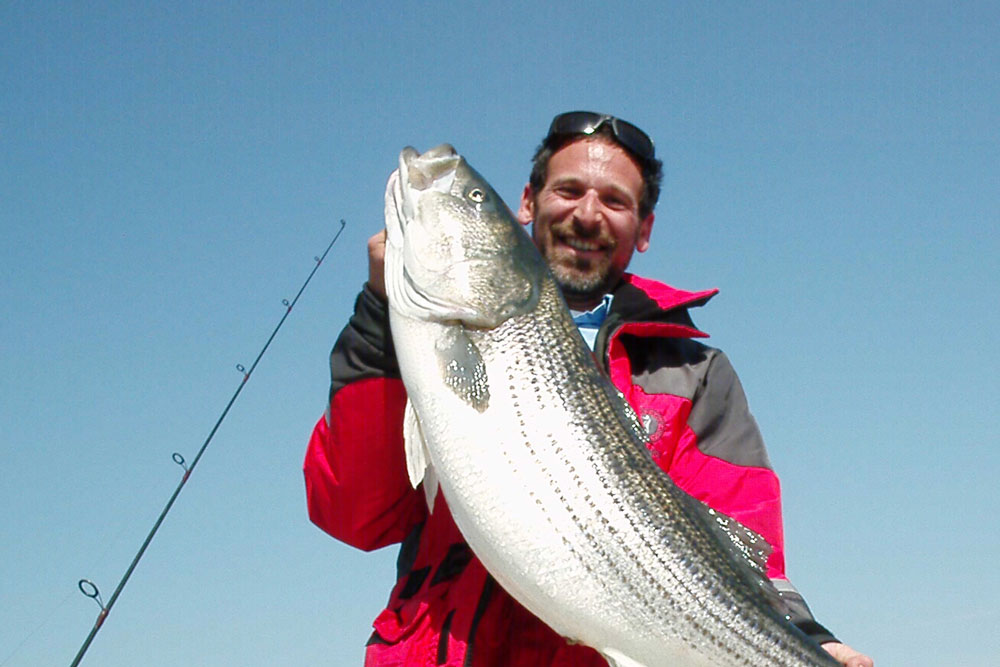 Striped bass are the pride of the Chesapeake.