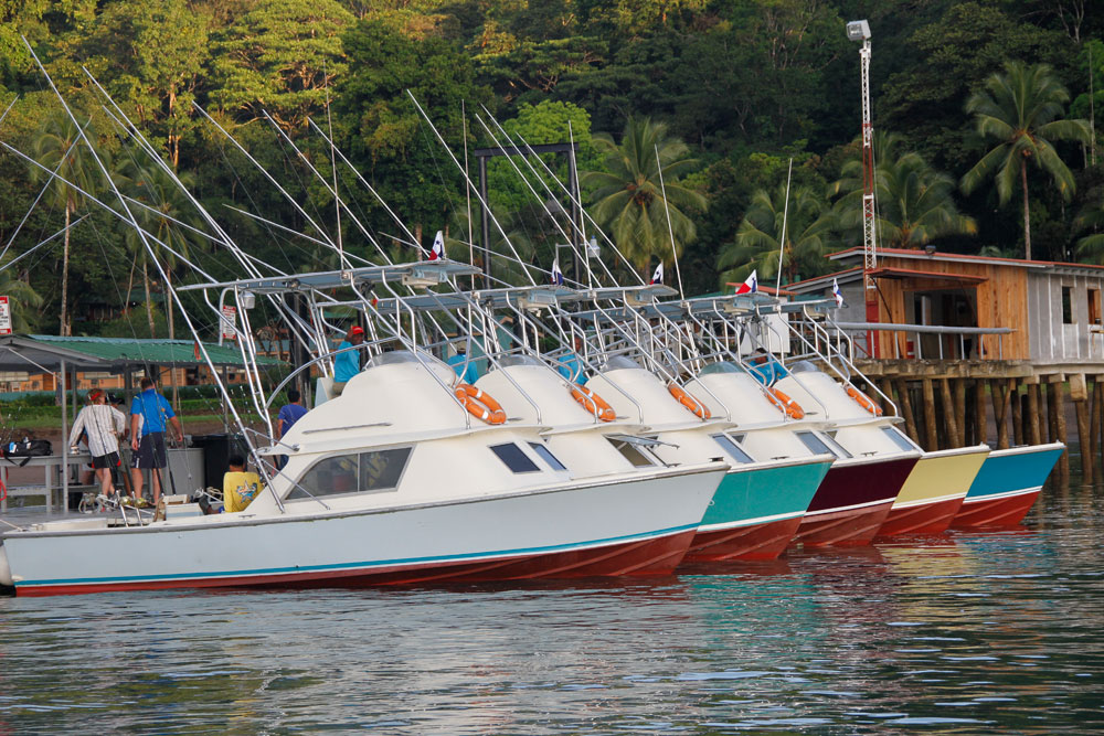 The fleet awaits a day of serious fishing, at Tropic Star Lodge. Photo courtesy of Tropic Star Lodge.