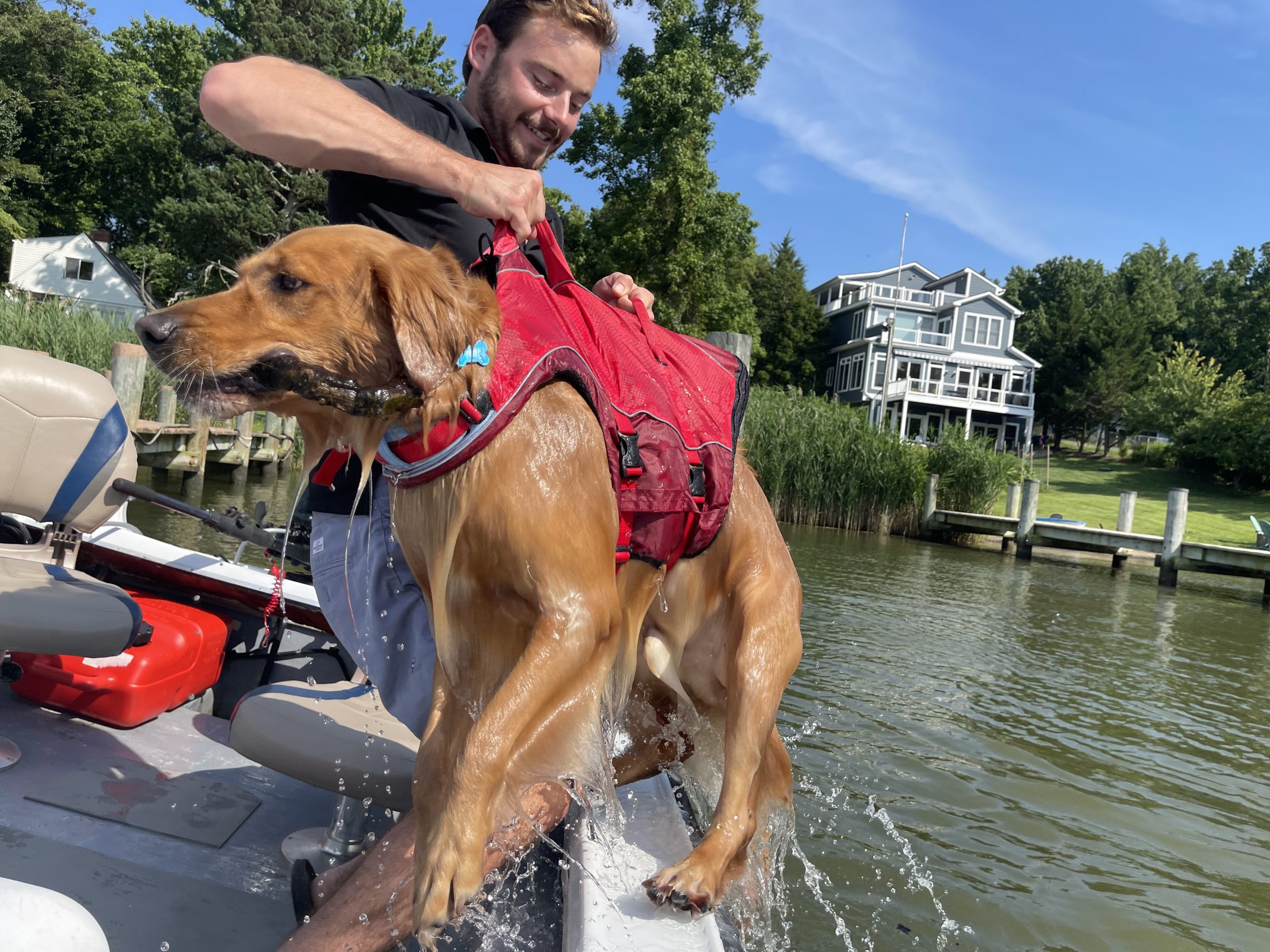 Best Tips for Boating with Dogs